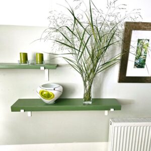 Painted Farrow & Ball in Green with white down brackets